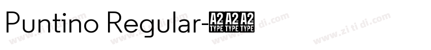 Puntino Regular字体转换